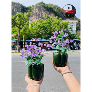Cây tinh thể Thach Anh tím vàng tài lộc