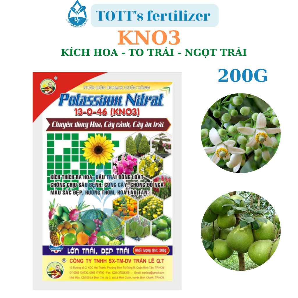 KNO3 200g kích ra hoa đậu trái tập trung