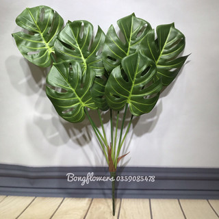 Cây giả - cây lá rùa giả trang trí decor 7 lá cao 70cm hàng cao cấp