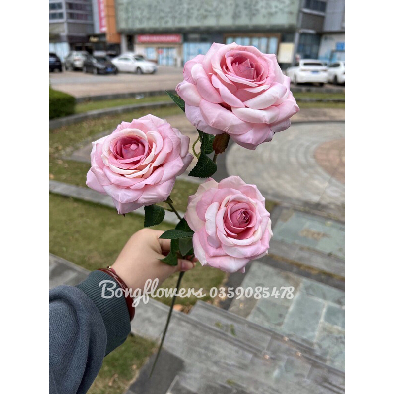 Hoa Giả - hoa hồng giả cành dài 60cm đường kính bông 10cm decor siêu xinh