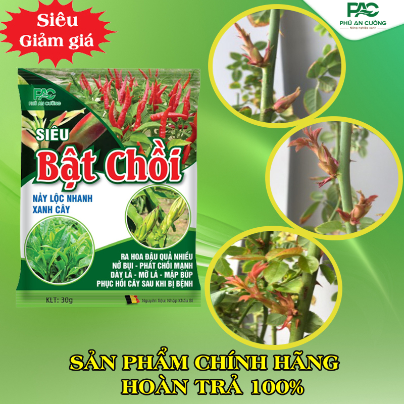Siêu bật chồi giúp ra chồi đều, xanh lá, vọt đọt thần tốc, ra hoa, đâm chồi cực nhanh, kích chồi cao, cây khoẻ mạnh