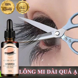 Lông mi dưỡng mi Serum lông mi 10MLkích thích mọc lông mi mọc lông mi cong lông mi dày Lông mi Lông mày Chăm sóc chân