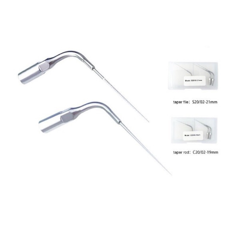 Đầu rung nội nha kim loại