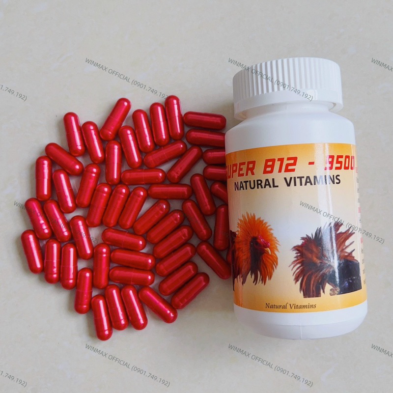 B12.9500 chính hãng nuôi tăng bo, hừng gà, gom bo tuần cuối hủ 100 viên