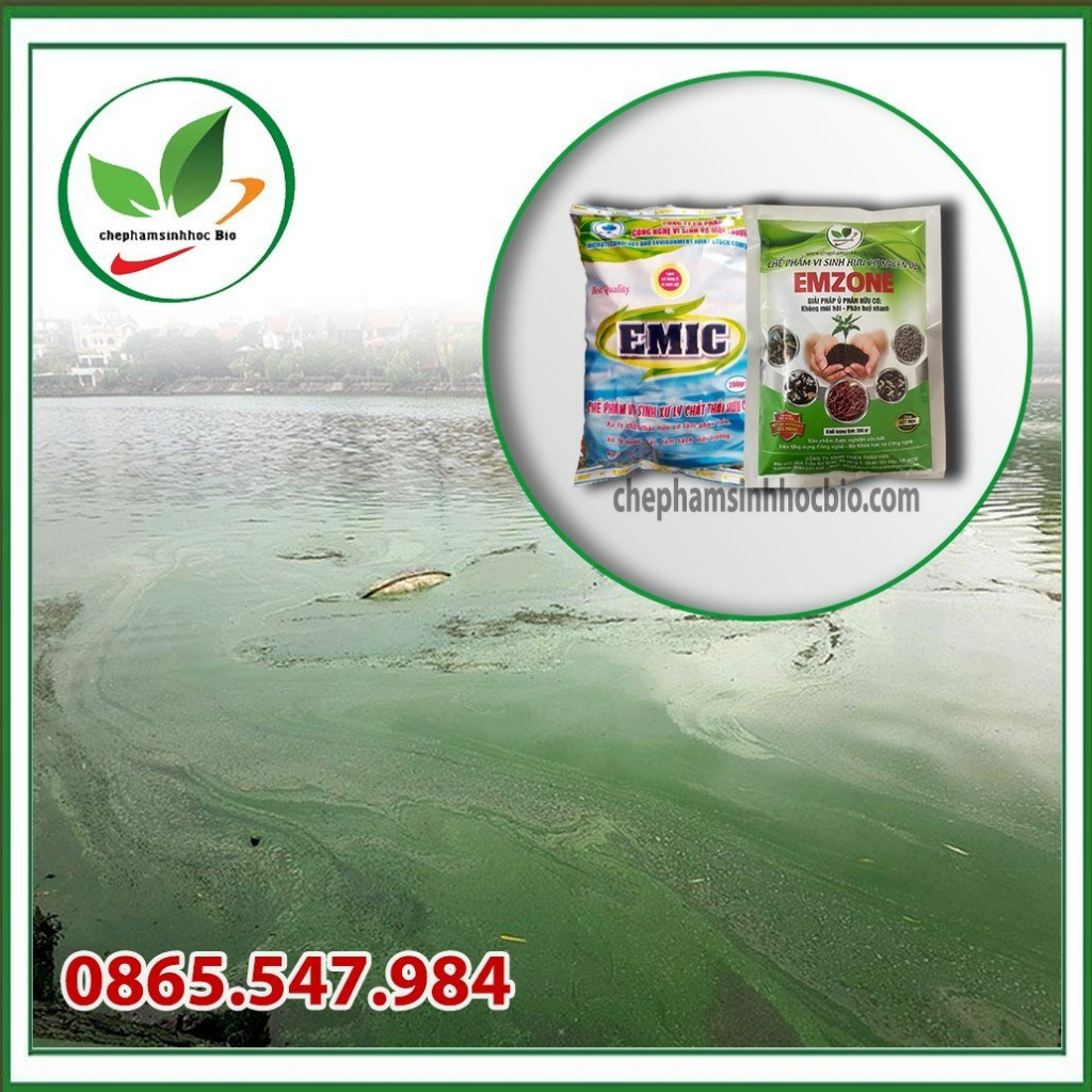 Combo bộ đôi chế phẩm sinh học EM+Emzone. Xử lý thức ăn nhà bếp và nước thải nặng mùi. Gói 200gr