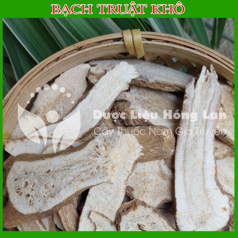 ✅ Bạch Truật đẹp loại 1 -