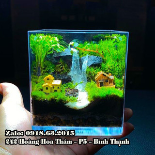 Bể cá thủy tinh vuông 10cm x 10cm, hồ cá chậu cây miệng vuông, bình thủy tinh trồng cây thủy sinh trang trí