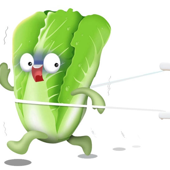 Tăm Chỉ Nha Khoa Hộp 50 Chiếc