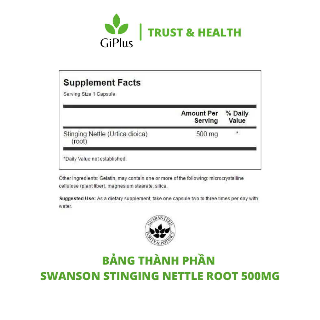 Viên Uống Swanson Stinging Nettle Root 500mg Tăng Cường Sức Khỏe Tuyến tiền Liệt và Hệ Tiết Niệu