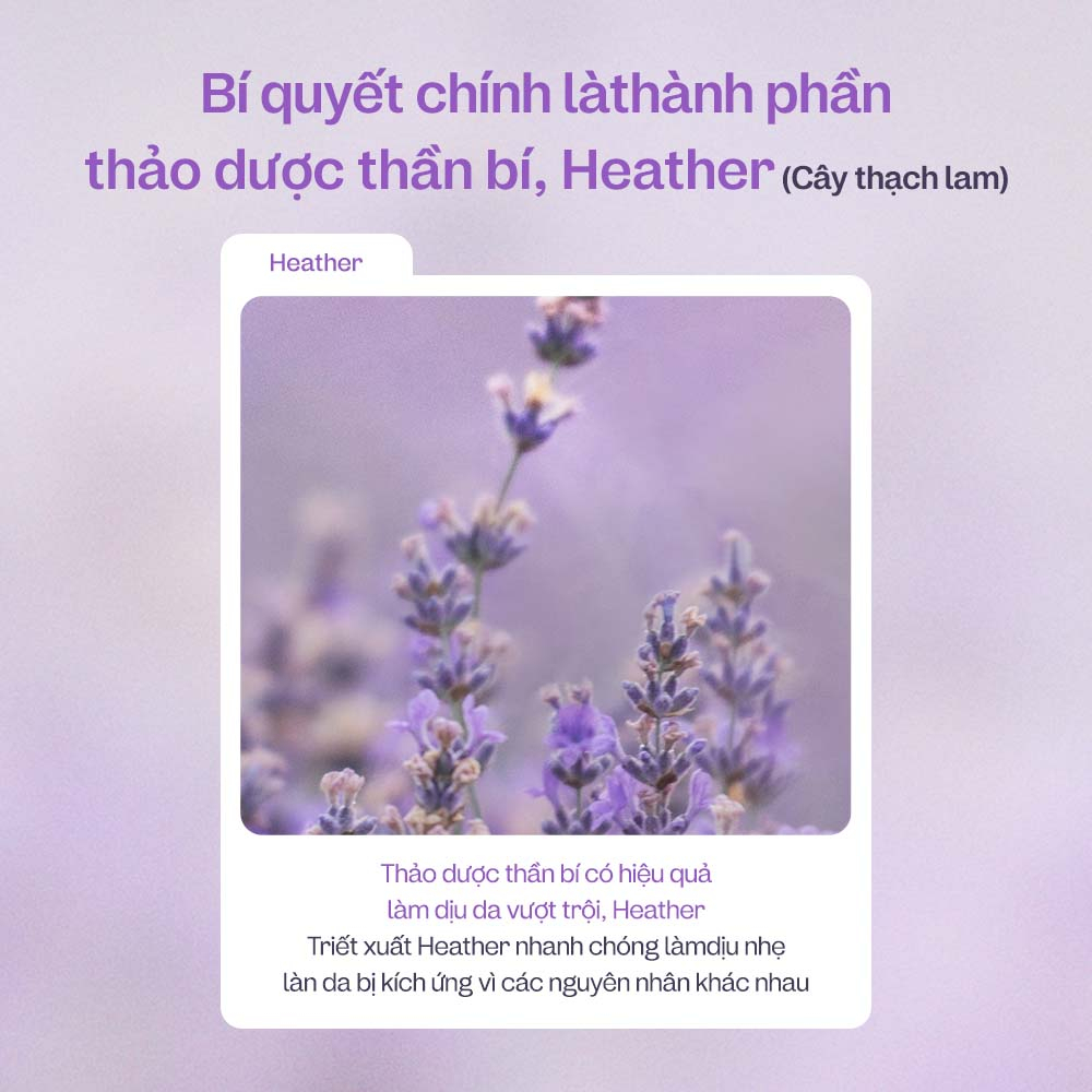 ma:nyo Heather Calming Tinh Chất Dưỡng Da Nhạy Cảm 50Ml