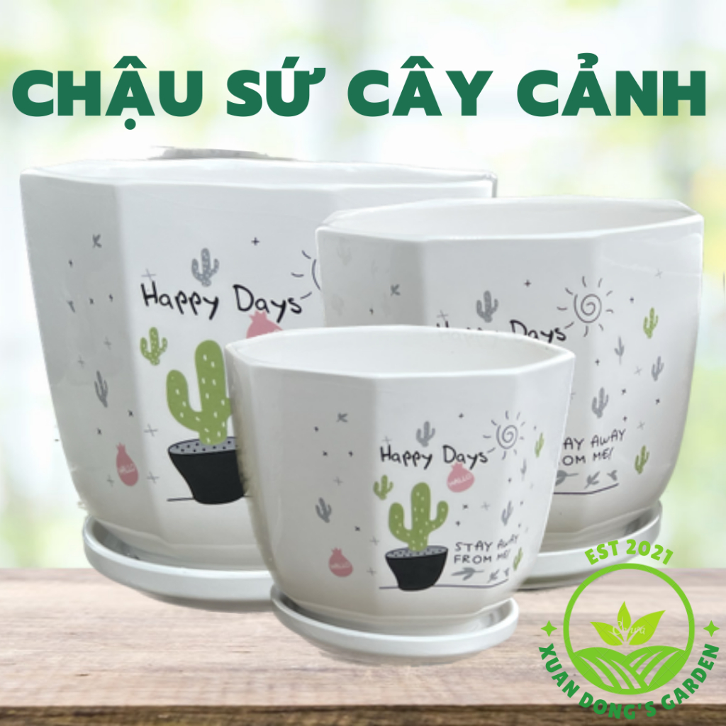 Chậu sứ trồng cây XUAN DONG GARDEN kèm đĩa hứng nước, chậu trồng cây đẹp để bàn, cây văn phòng, cây phong thủy