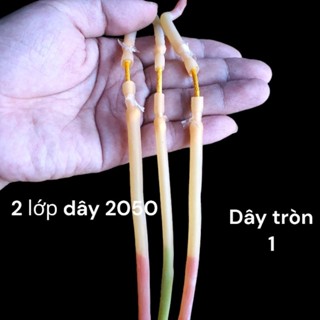 dây tròn cá 1 luồn 2 lớp 2050 siêu bền