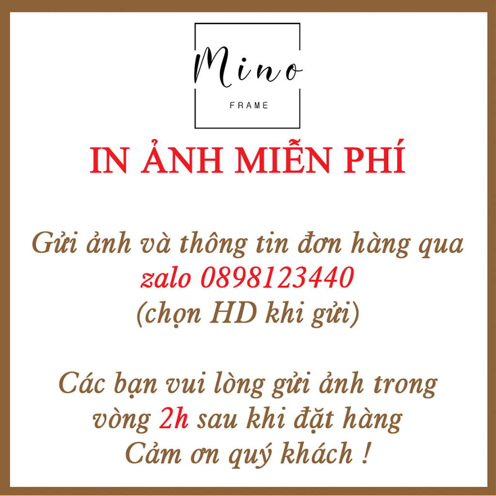 Khung Ảnh Bằng Khen A5, A4, 10inch Mino Frame