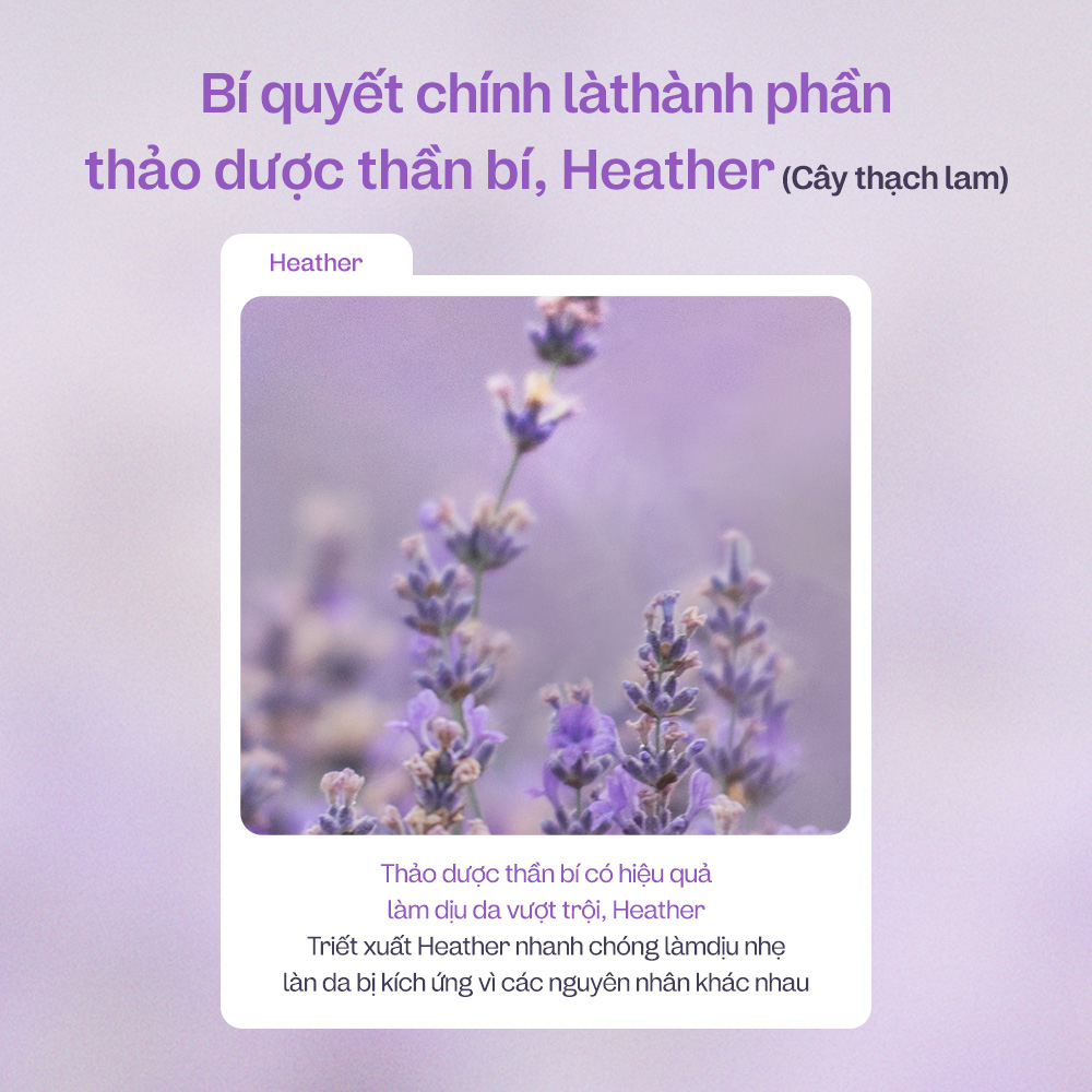 ma:nyo Heather Calming Tinh Chất (60 Tờ) Bông Tẩy Trang Cho Da Nhạy Cảm, 100% Cotton