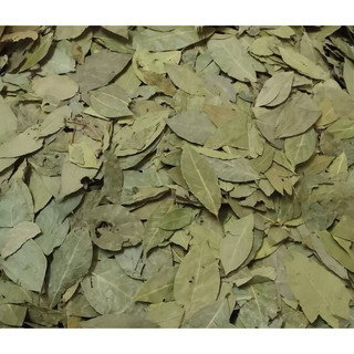 Lá nguyệt quế khô