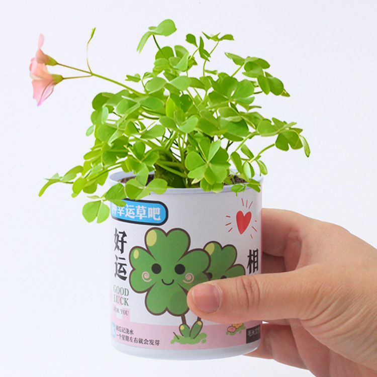 Set nguyên liệu hạt giống trồng cây - Đồ chơi làm vườn giúp bé tự trồng và chăm sóc cây ra hoa, thu hoạch quả