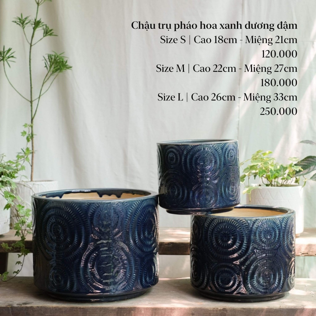 Chậu gốm trồng cây dáng trụ họa tiết pháo hoa Tròn Tròn Saigon