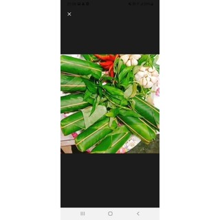 tré loại đặc biệt cây lớn