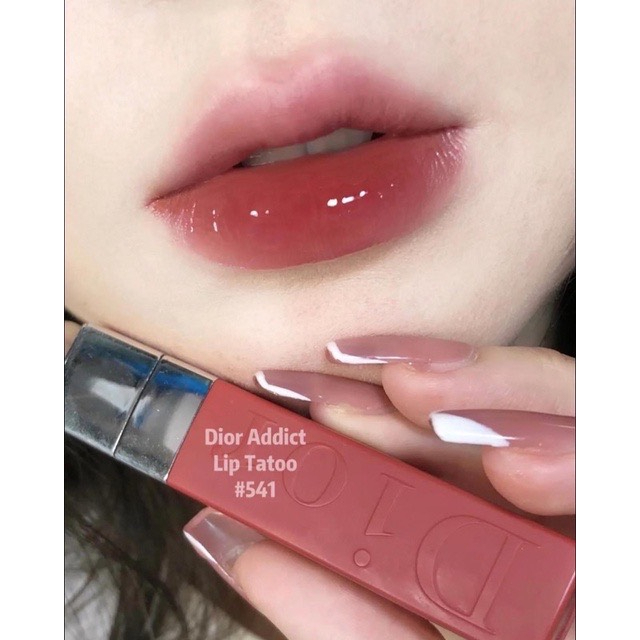 Son Dior Lip Tin - Dior Tattoo Dior Lip Stain  Dior 421/771/561/351/731/651