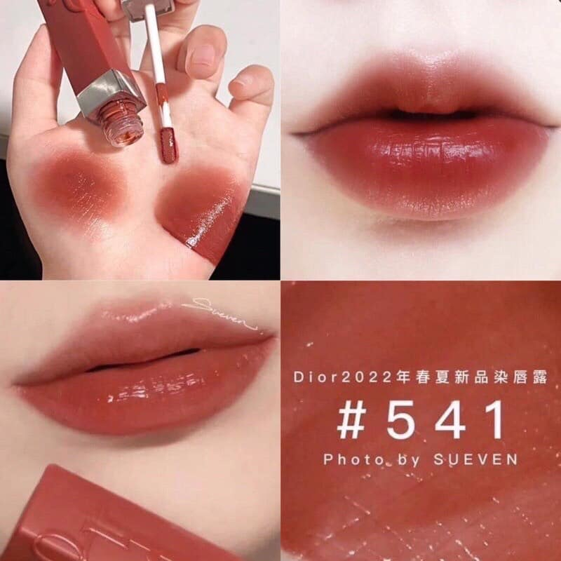 Son Dior Lip Tin - Dior Tattoo Dior Lip Stain  Dior 421/771/561/351/731/651