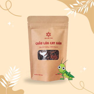 Chấu Lúa Cay Giòn - Đồ Nhậu, Ăn Vặt Từ Côn Trùng