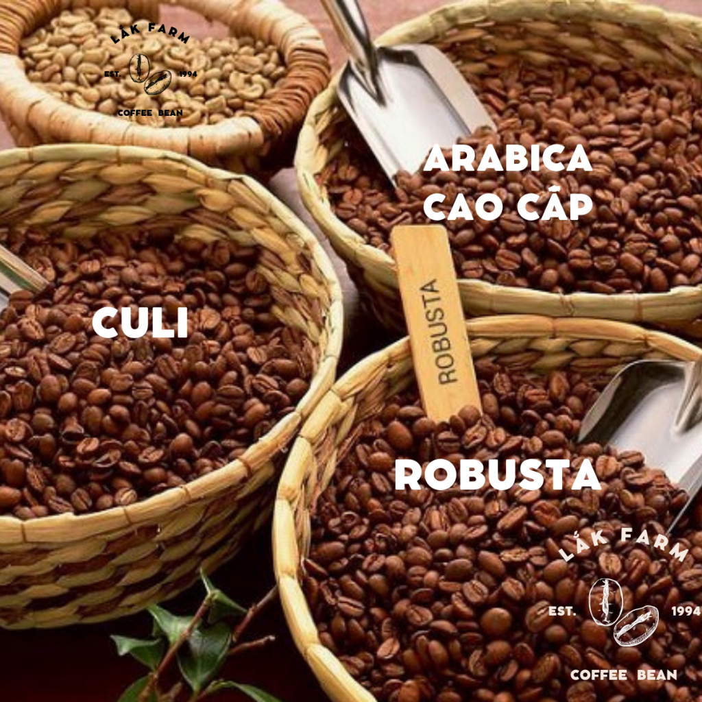 Cà phê Ngẫu Hứng Mix Arabica x Robusta x Culi Lắk Farm, nguyên chất rang mộc, vị cân bằng, thơm, đắng nhẹ, pha phin, máy