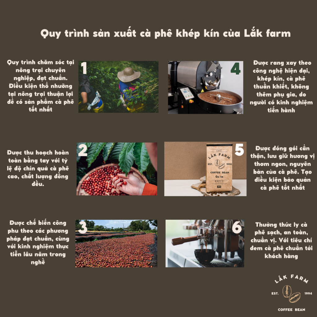 Cà phê Ngẫu Hứng Mix Arabica x Robusta x Culi Lắk Farm, nguyên chất rang mộc, vị cân bằng, thơm, đắng nhẹ, pha phin, máy