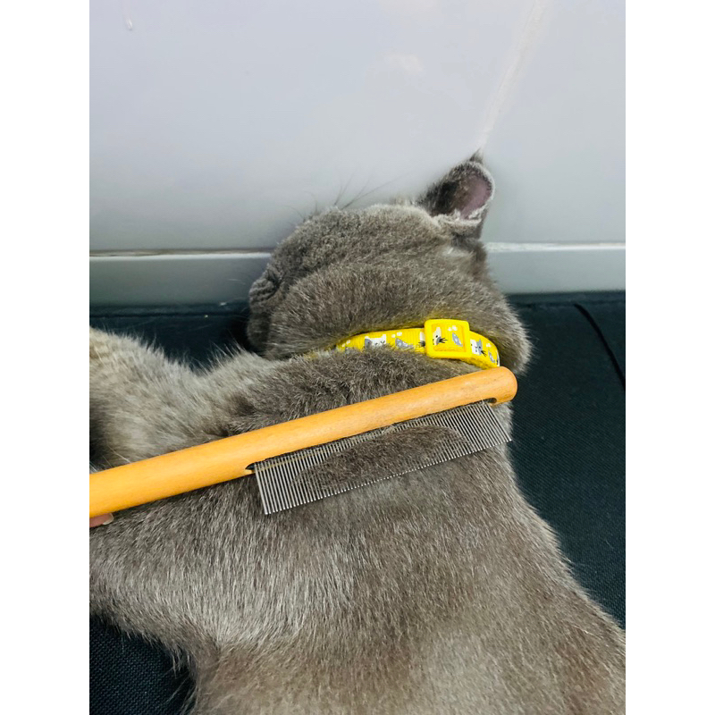 Lược dày cần gỗ