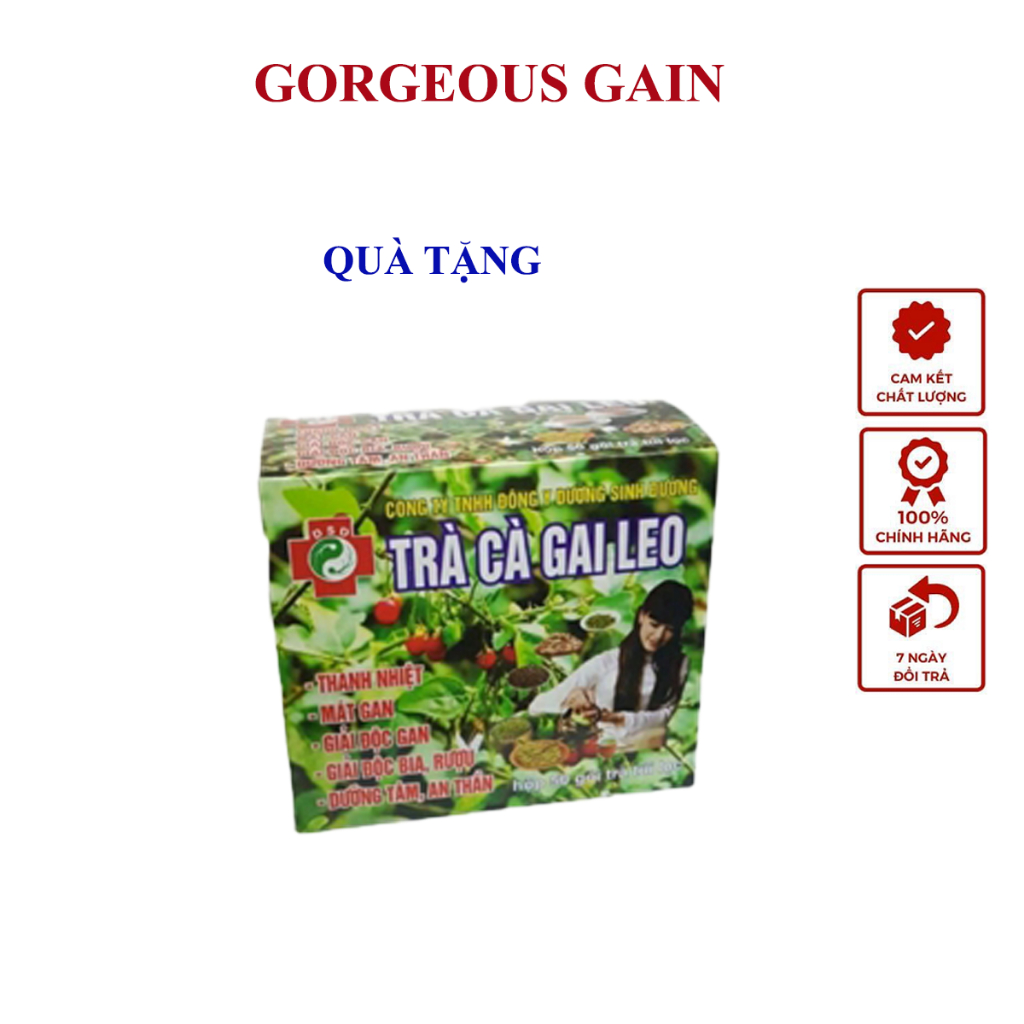 Trà cà gai leo túi lọc Đông Y Dưỡng Sinh Đường giúp thanh nhiệt mát gan, dưỡng tâm an thần