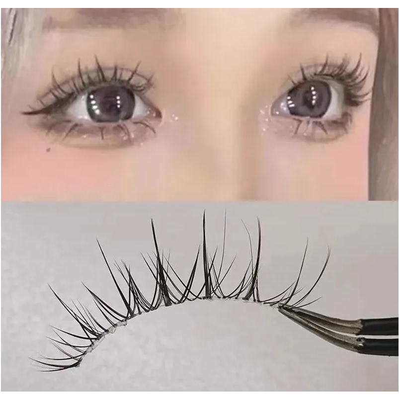 Mi gân trong Bee- hộp 5 cặp siêu đẹp