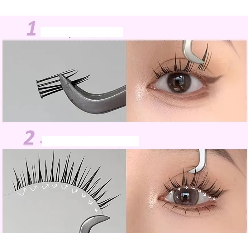 Mi gân trong Bee- hộp 5 cặp siêu đẹp
