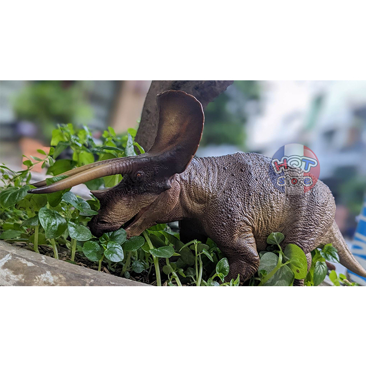 Mô hình khủng long Triceratops Doyle PNSO tỉ lệ 1/35 chính hãng