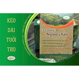 Thảo dược lá nương ngâm chân Loại 1 - tăng cường lưu thông khí huyết,