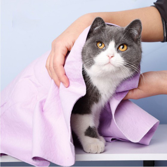 Khăn cho thú cưng, Khăn vải khô nhanh siêu thấm, Khăn cho chó, Khăn cho mèo