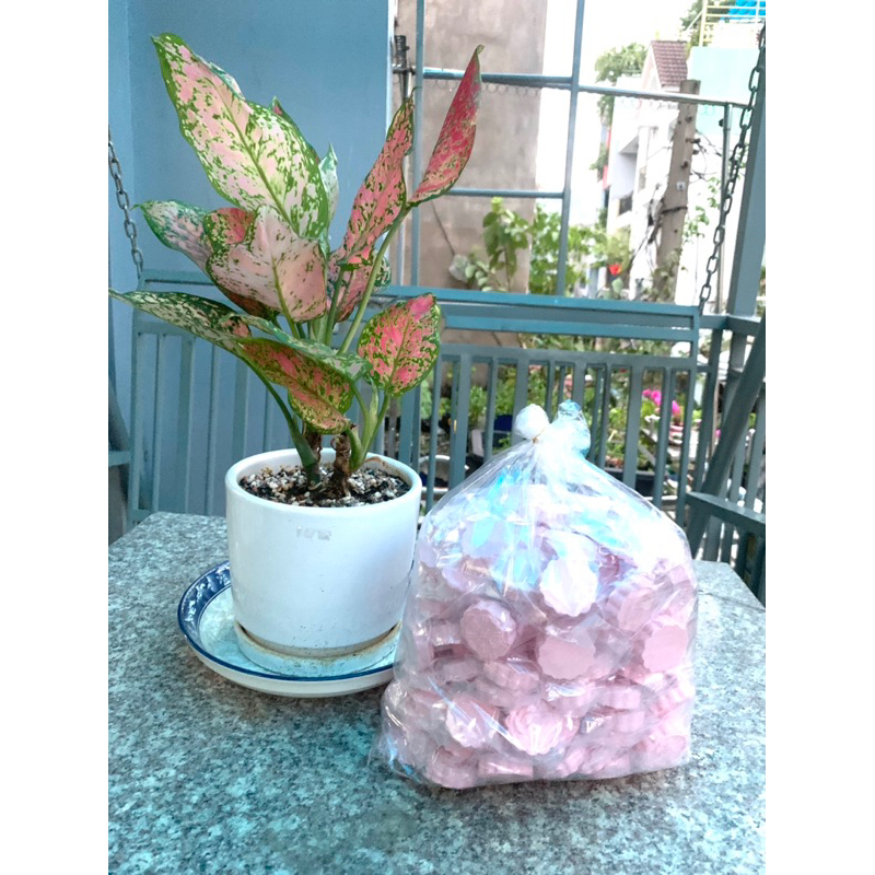 Bánh bột linh Bánh  phục Linh đặc sản bình định ,giòn thơm 0.5kg-biglove