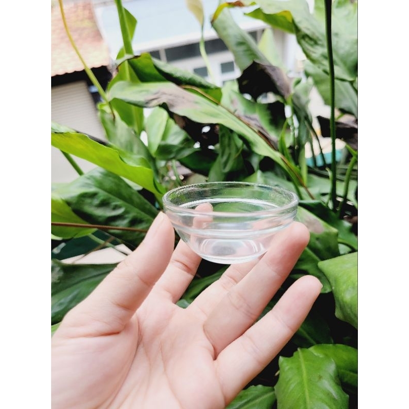 Miniature - Chén thủy tinh cho bếp nấu ăn mini nhiều size
