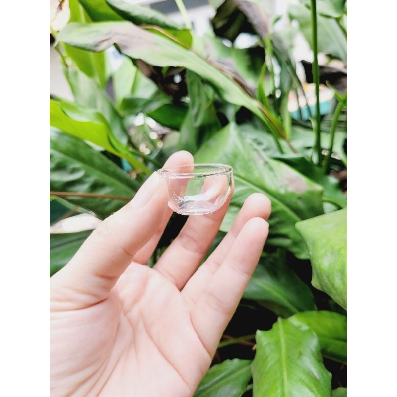Miniature - Chén thủy tinh cho bếp nấu ăn mini nhiều size