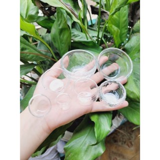 Miniature - Chén thủy tinh cho bếp nấu ăn mini nhiều size