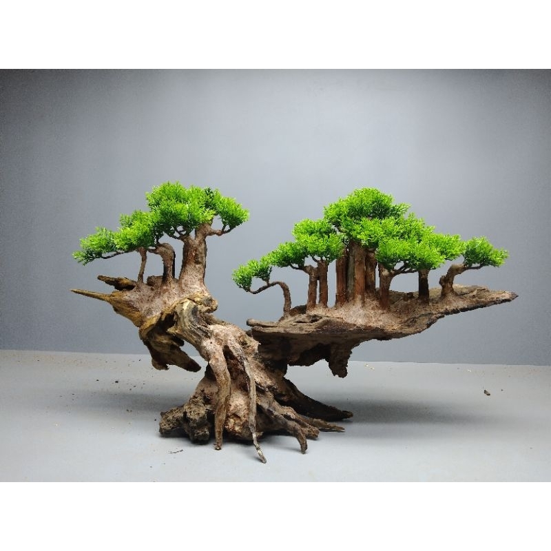 Gỗ lũa bonsai " Đảo Bay"