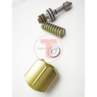 Bộ tự động đầu nén xịt thuốc rửa xe 1hp