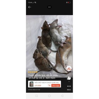 THUỐC DIỆT CHUỘT 🐁🐁 CHẾT SIÊU NHANH