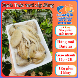 Giá Sỉ - Bạch Tuộc (không ngâm nước) - Q12