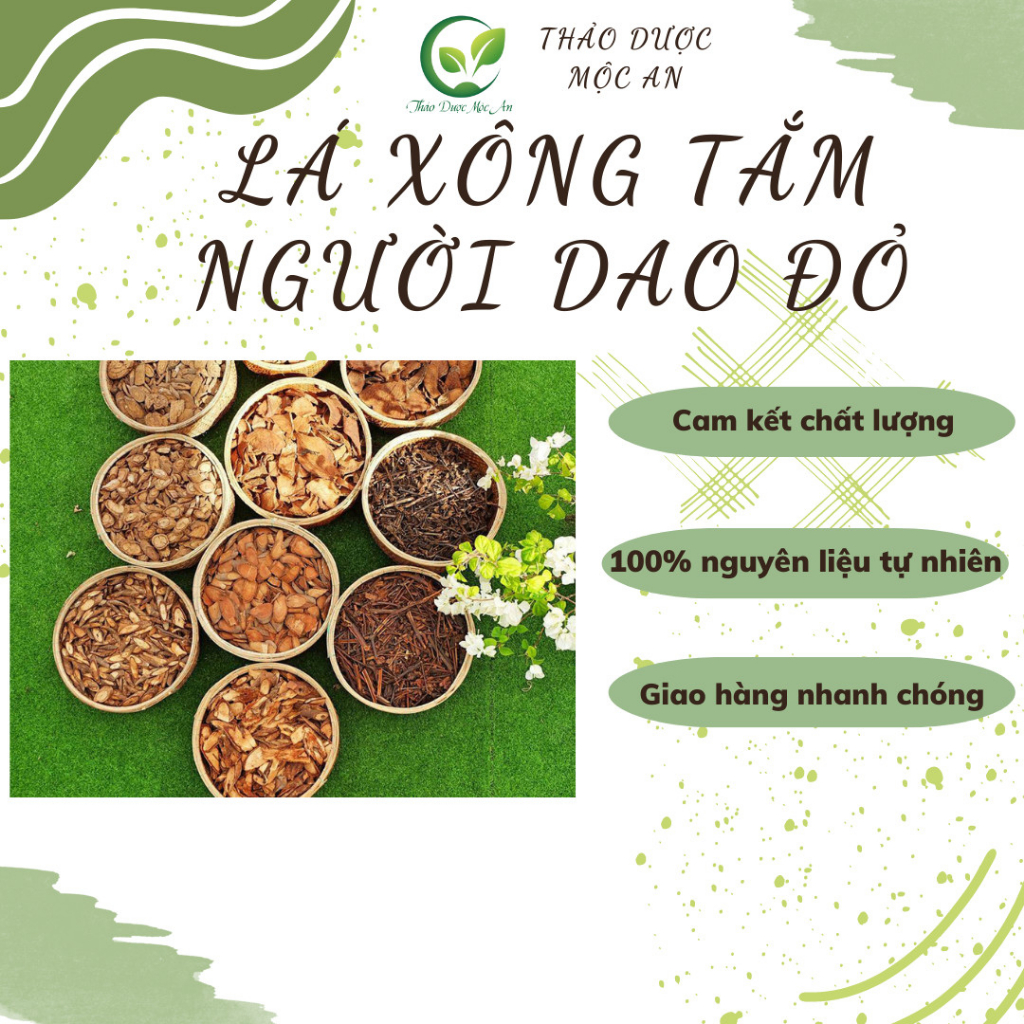 Lá tắm người dao đỏ giúp tăng cường đề kháng, giải cảm, giảm stress - Thảo mộc bảo vệ sức khoẻ Mộc An