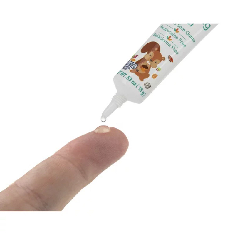 Gel và miếng ngậm nướu cho trẻ mọc răng Dr. Talbot's Soothing Gel and Gum-eez Teether for Teething Infants