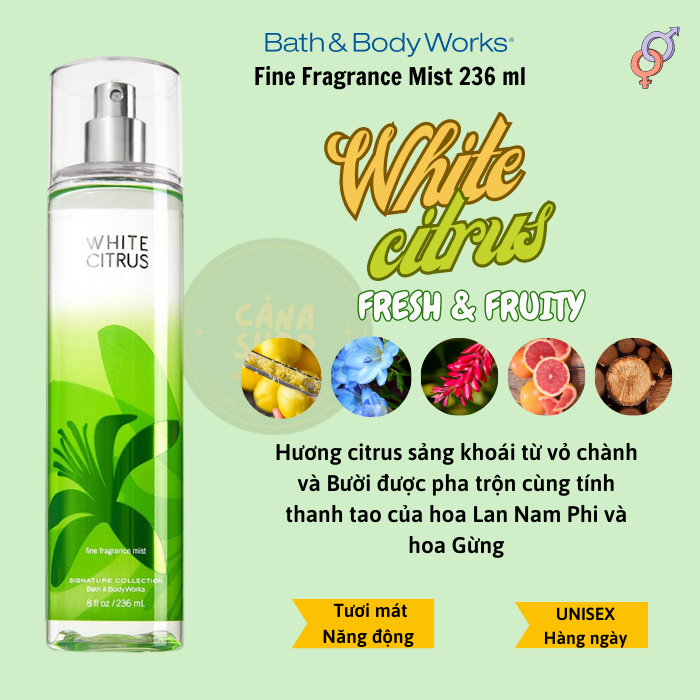 XỊT THƠM BATH & BODY WORKS BODY MIST NHIỀU MÙI, BILL MỸ