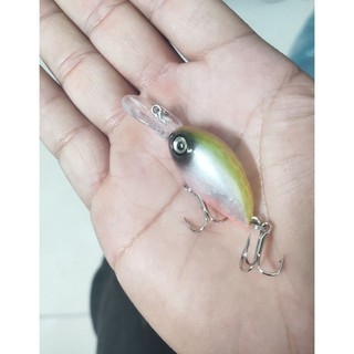 Mồi câu lure chuyên rô phi chép trắm chuối lóc