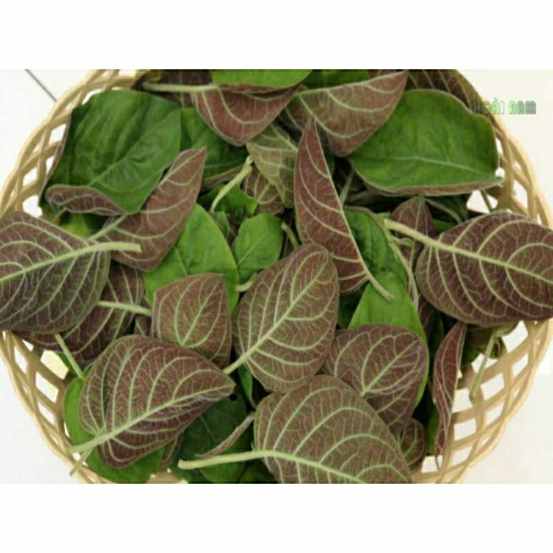 1kg lá mơ lông tam thể