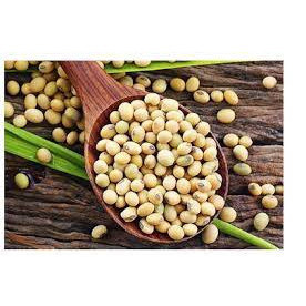 Đậu nành 100g/200g