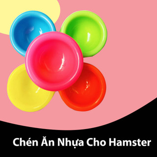 1 chén ăn nhiều màu cho hamster-rat-đuôi mập