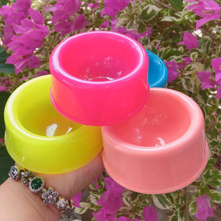 1 Chén Ăn Nhiều Màu Cho Hamster-Rat-Đuôi Mập (Giao Màu Ngẫu Nhiên)